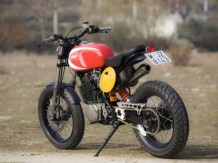 Dirt-Rad by Radical Ducati