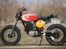 Dirt-Rad by Radical Ducati